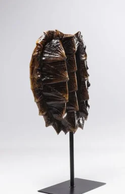 KARE Design Decofiguur Schildpad 53cm Online