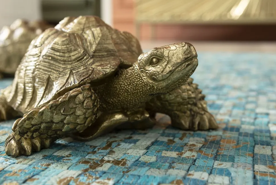 KARE Design Decofiguur Schildpad Goud Klein Shop