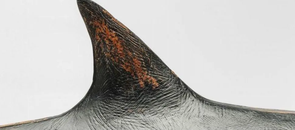 KARE Design Decofiguur Shark Base Cheap