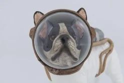KARE Design Decofiguur Space Dog 21cm Outlet
