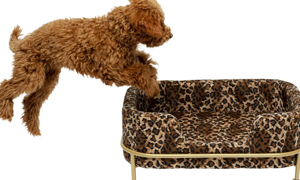 KARE Design Dierenbed Diva Leo Cheap