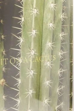 KARE Design Fotolijst Cactus 45x33cm Store