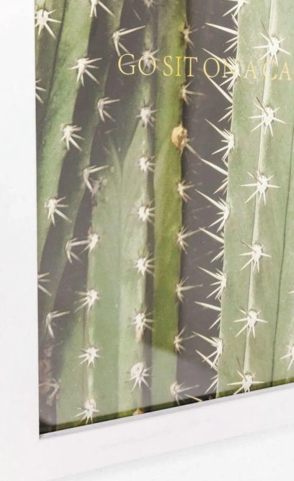 KARE Design Fotolijst Cactus 45x33cm Store