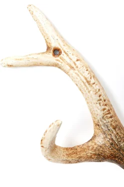 KARE Design Kapstok Antler Nature New
