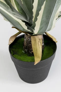 KARE Design Kunstplant Agave 50cm Online