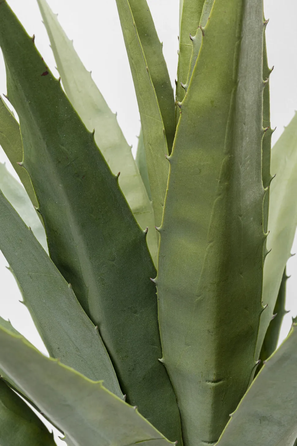KARE Design Kunstplant Agave 85cm Fashion