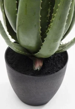 KARE Design Kunstplant Aloe 69cm New