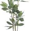 KARE Design Kunstplant Calathea 140cm Online