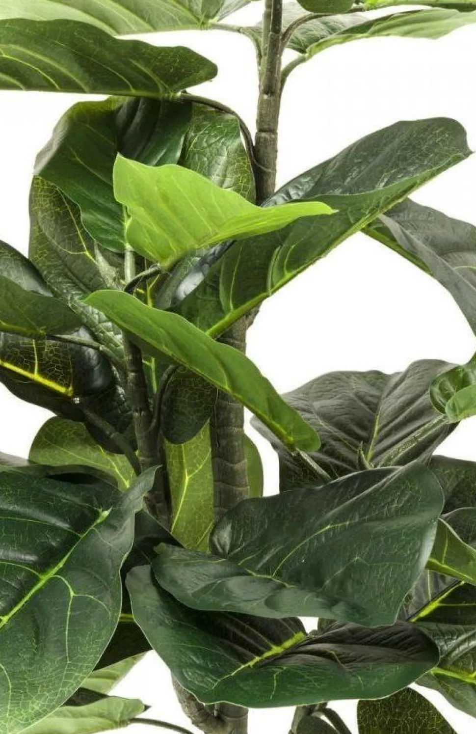 KARE Design Kunstplant Fiddle Leaf 120cm Outlet