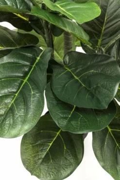 KARE Design Kunstplant Fiddle Leaf 120cm Outlet