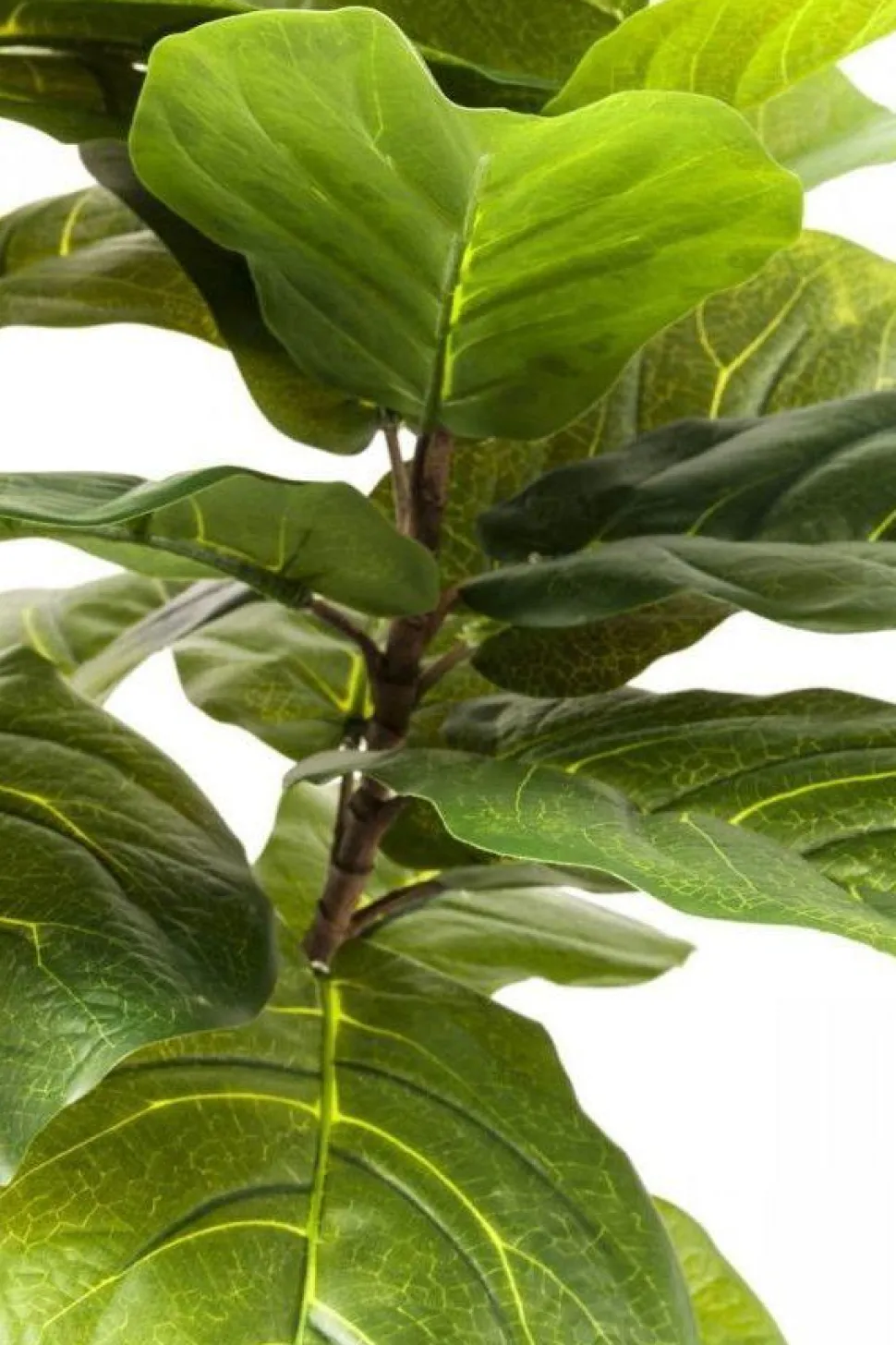 KARE Design Kunstplant Leaf Tree 170cm Flash Sale