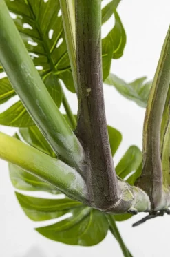 KARE Design Kunstplant Monstera 110cm Online