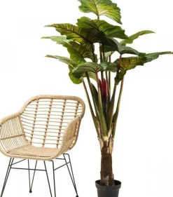 KARE Design Kunstplant Rainforest Groen 160cm Discount
