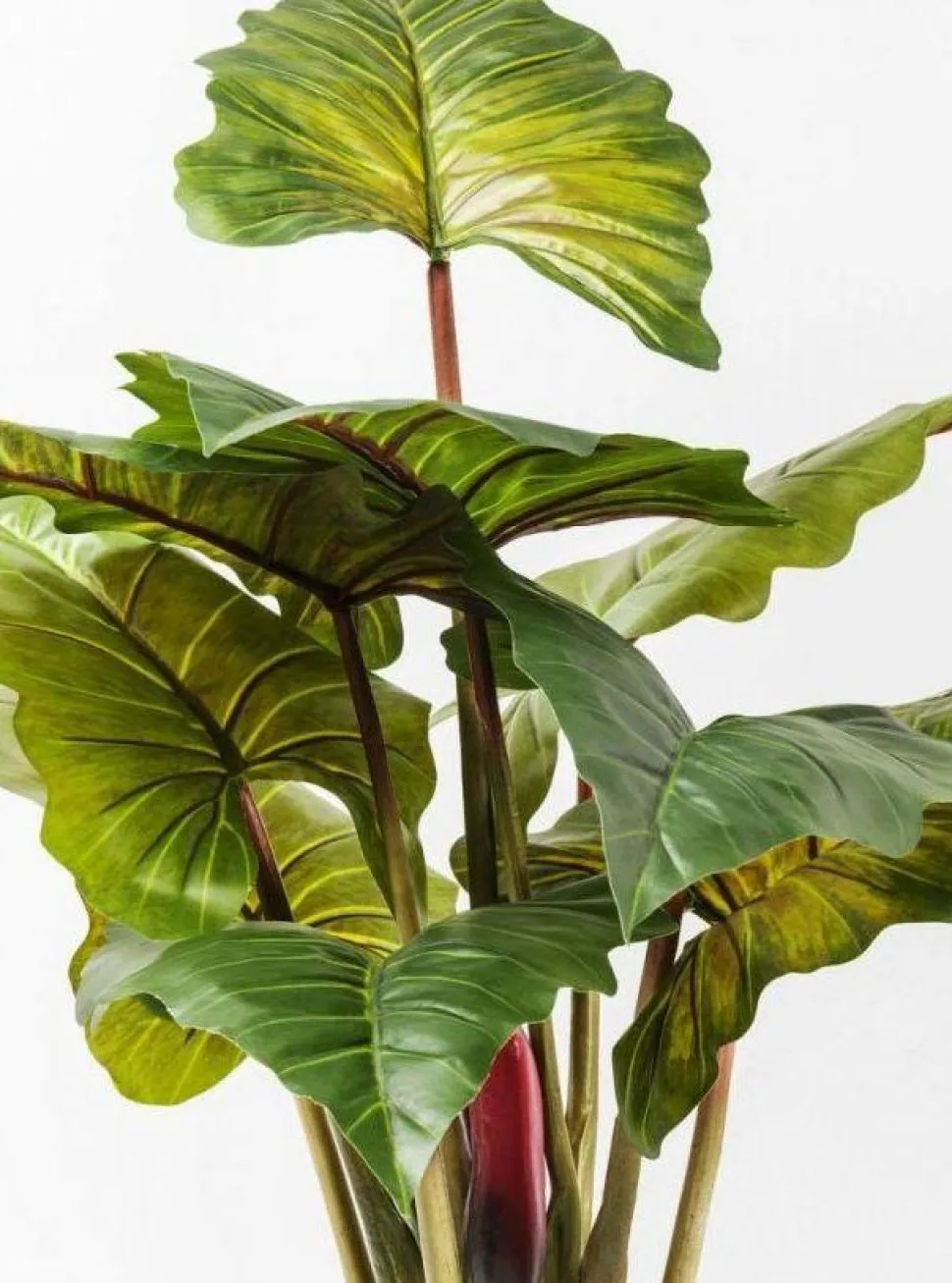 KARE Design Kunstplant Rainforest Groen 160cm Discount