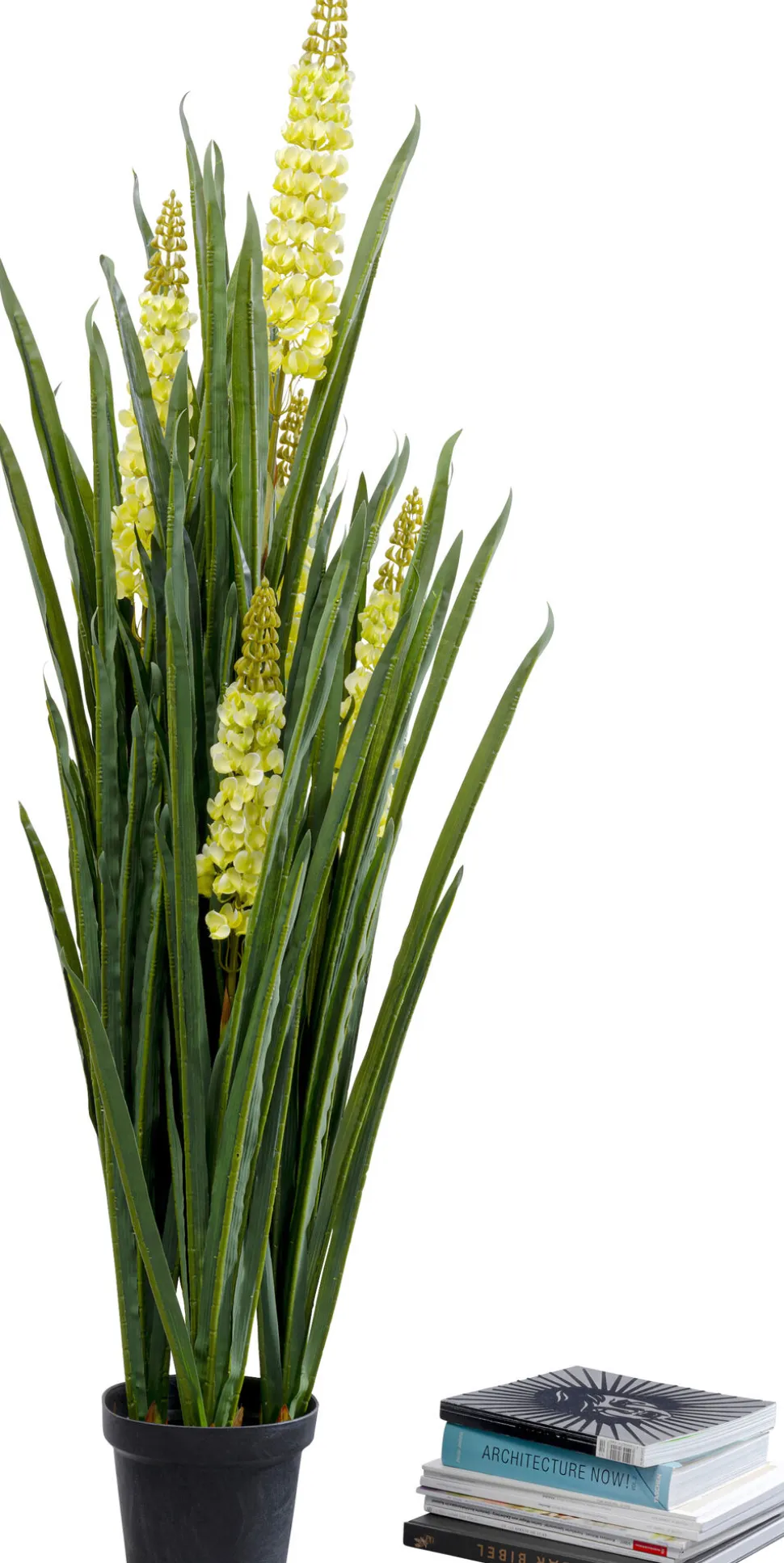 KARE Design Kunstplant Rhynchostylis 150cm Shop