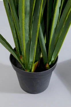KARE Design Kunstplant Rhynchostylis 150cm Shop