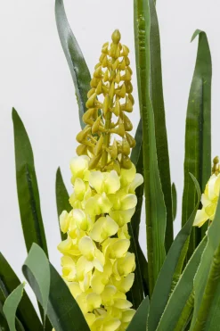 KARE Design Kunstplant Rhynchostylis 150cm Shop