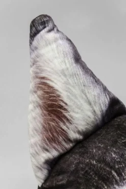 KARE Design Kussen Hond Gezicht Groot Hot