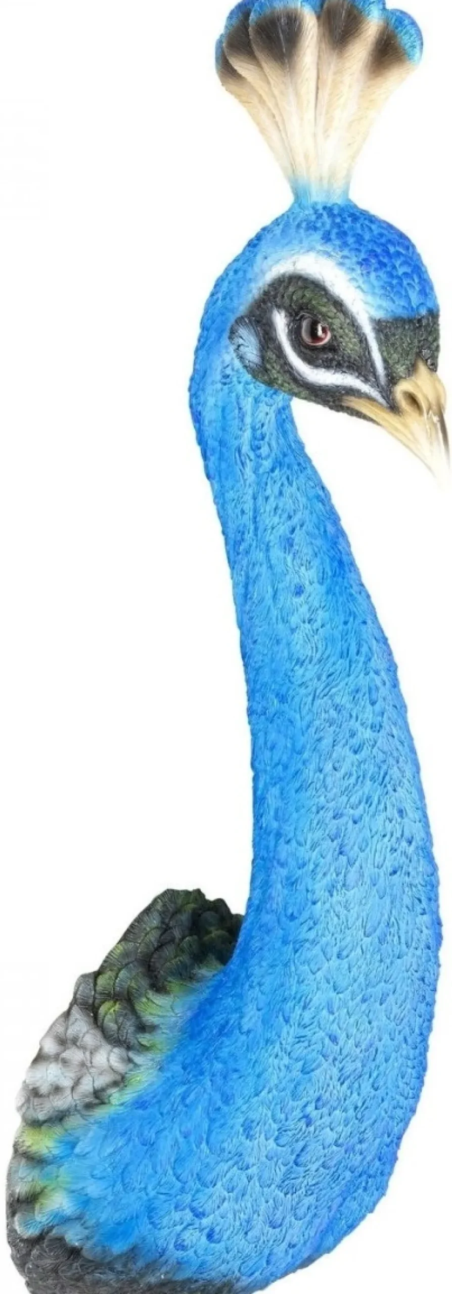 KARE Design Wanddecoratie Peacock Store