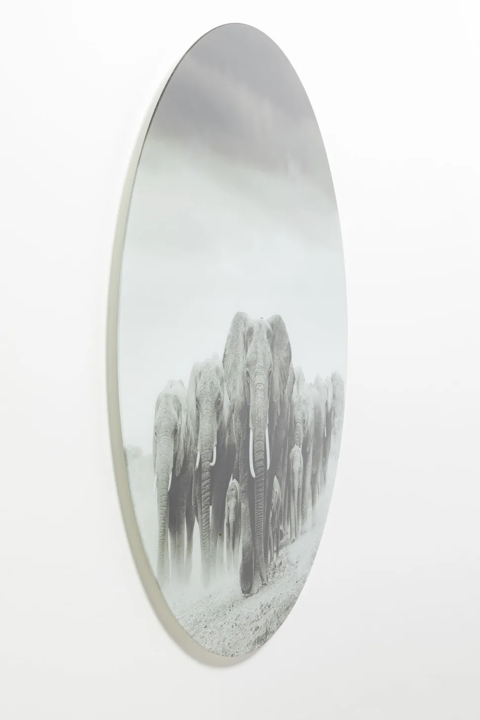 KARE Design Wandfoto Elephant Walk Ø120cm Store