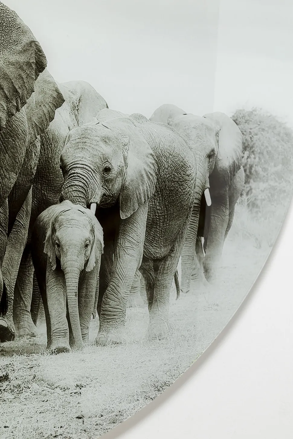 KARE Design Wandfoto Elephant Walk Ø120cm Store