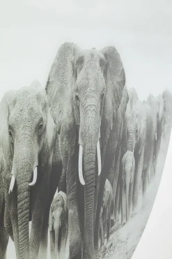 KARE Design Wandfoto Elephant Walk Ø120cm Store