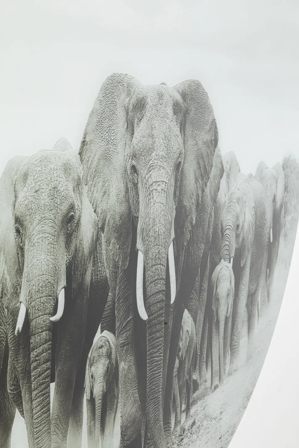 KARE Design Wandfoto Elephant Walk Ø120cm Store