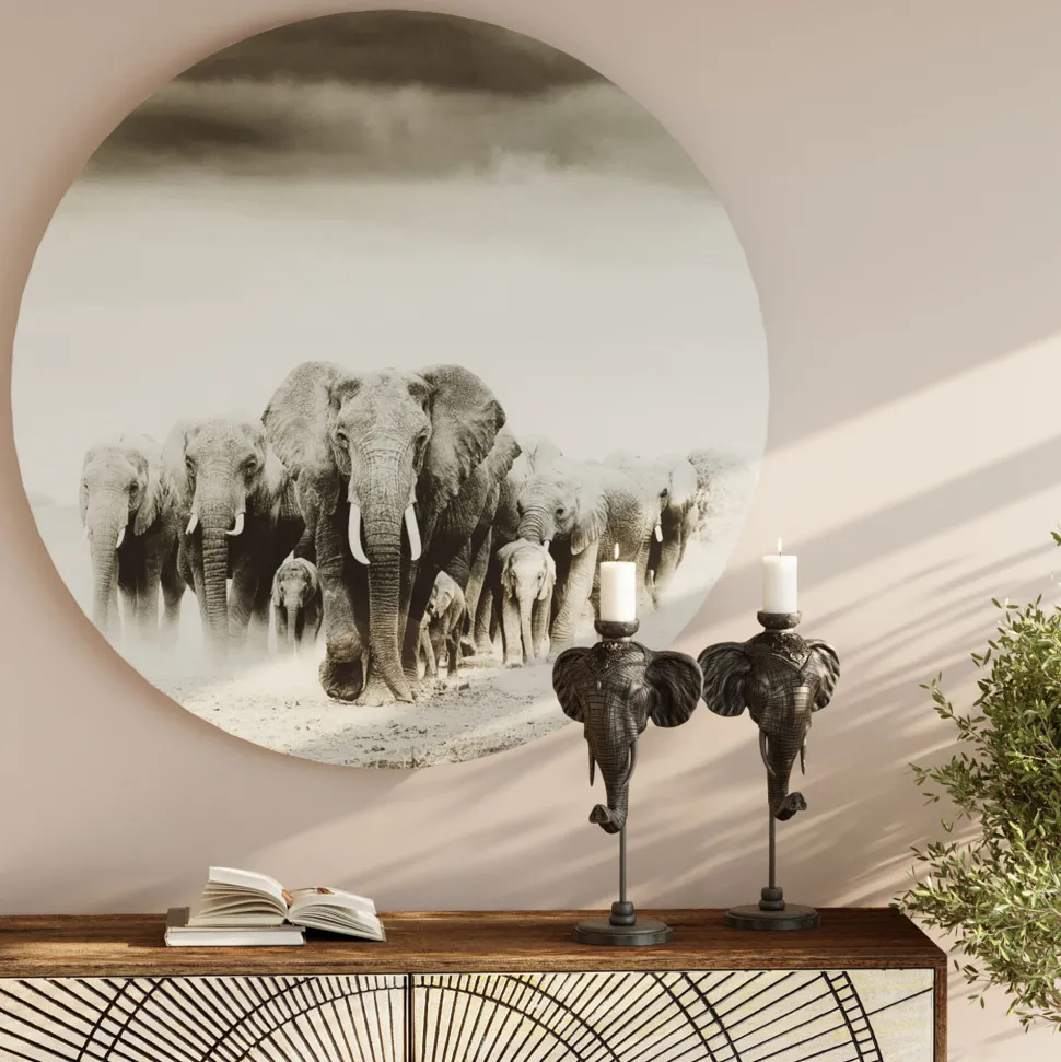 KARE Design Wandfoto Elephant Walk Ø120cm Store